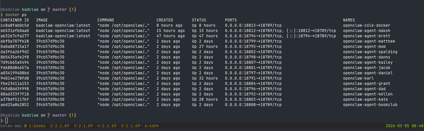 docker ps on badclaw — 17 running containers including cole, karl, and 15 agent tenants