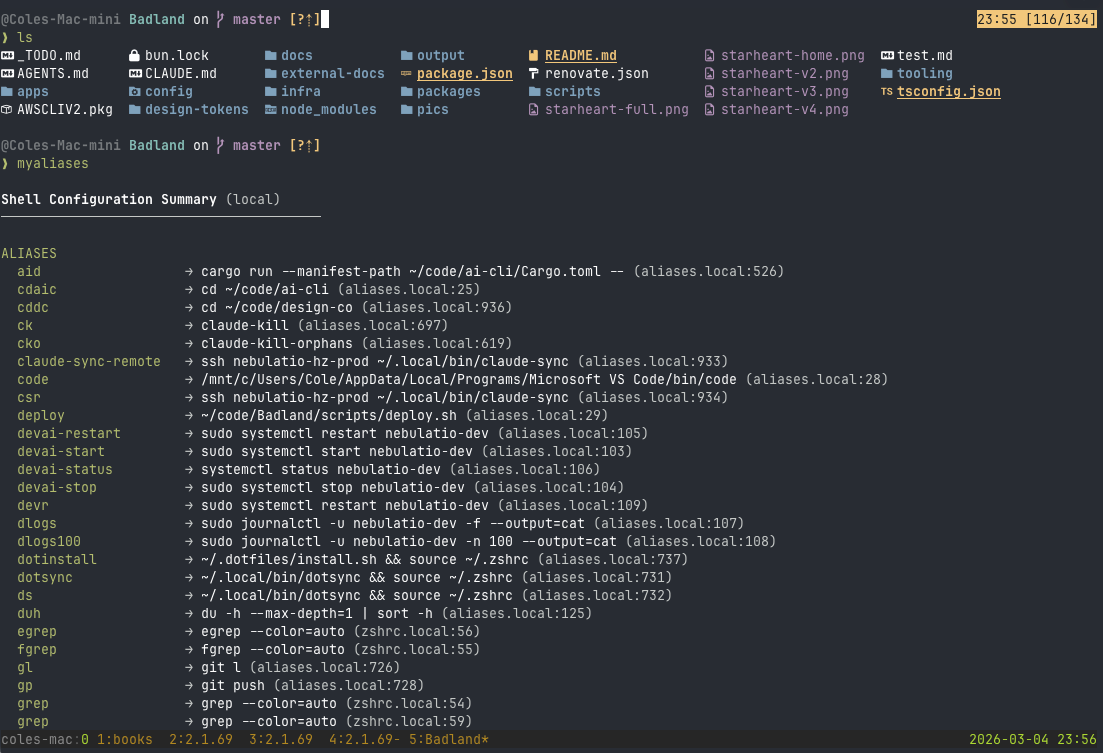 Terminal with Starship prompt, ls output, and custom aliases list with tmux status bar
